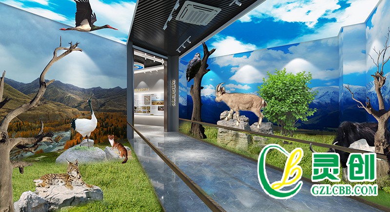 新疆喀什大學動物標本館